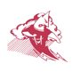 HVHS