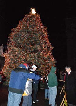 North Adams Celebrates Season With Annual Tree Lighting / IBerkshires ...