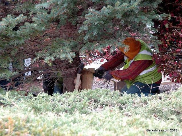 North Adams Christmas Trees Placed; Lighting Set Dec. 4 / IBerkshires ...